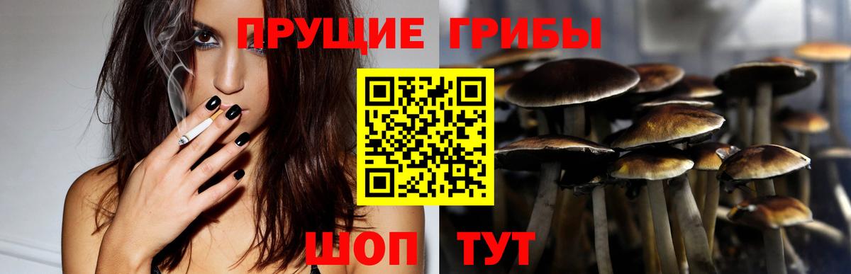 Печора  Галлюциногенные грибы GOLDEN TEACHER  Вход с VPN 